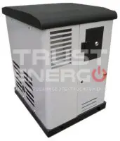 Газовый генератор REG GG14-230SV с АВР